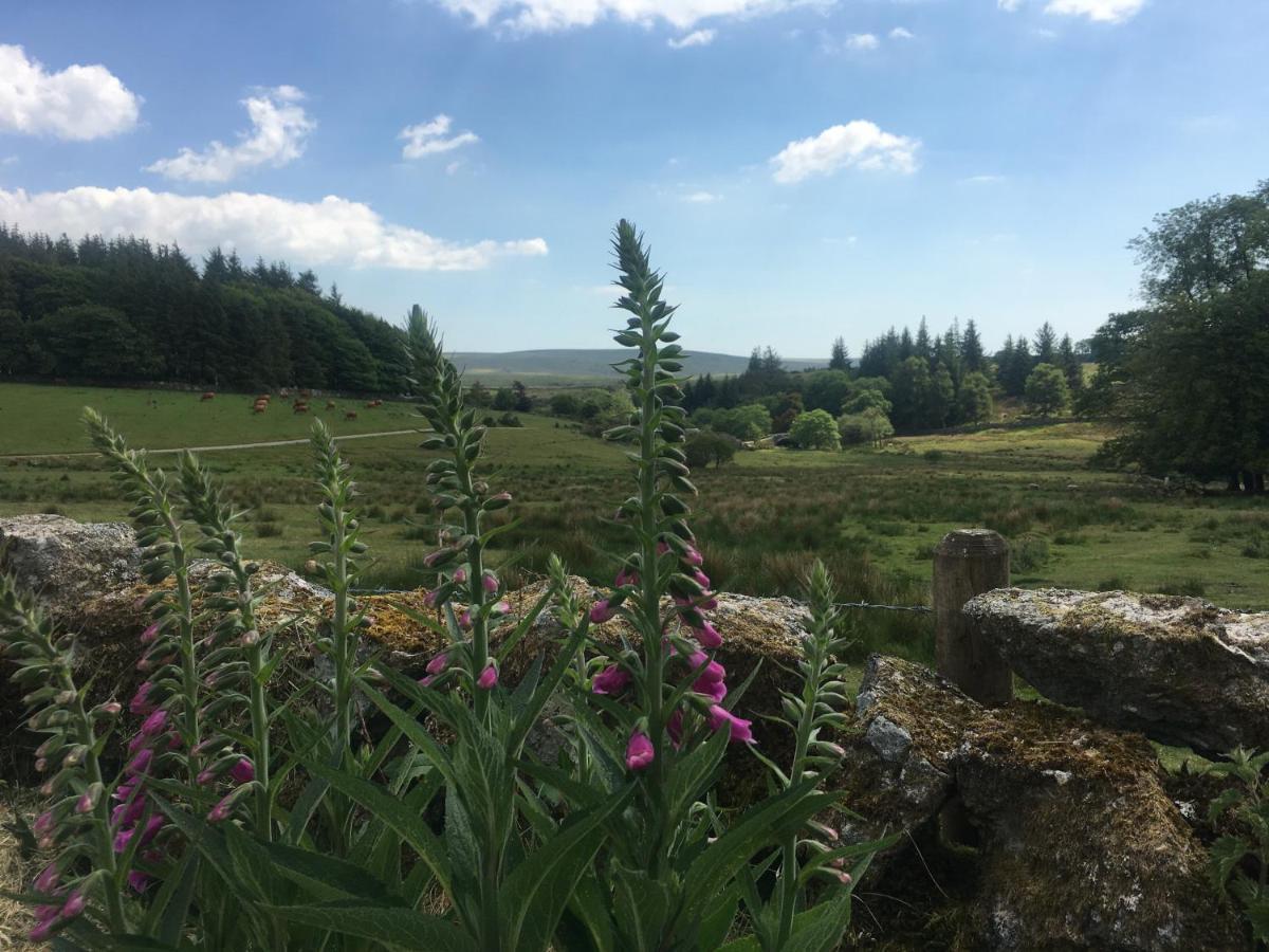 Prince Hall Hotel Princetown Esterno foto